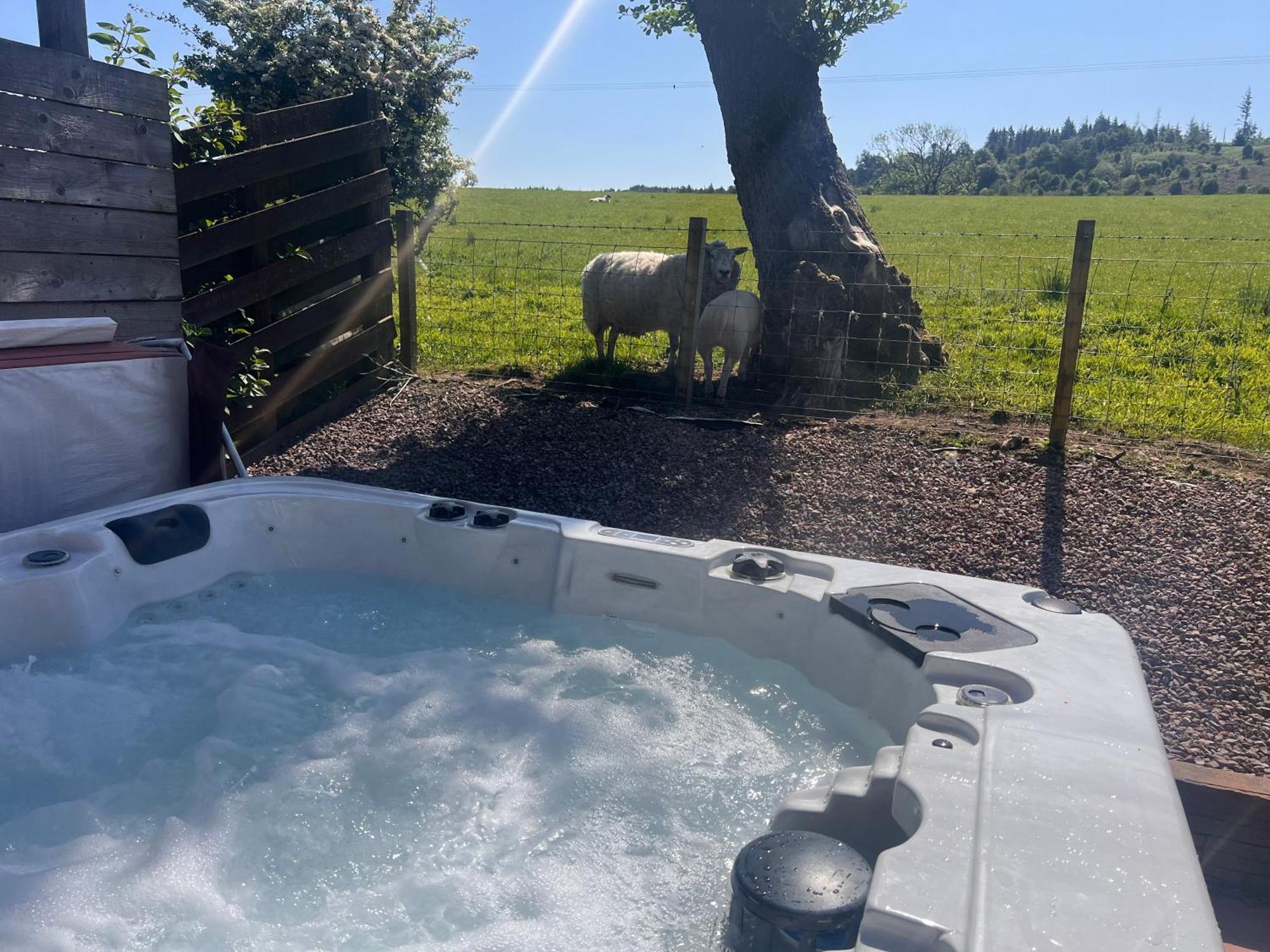 Woodlane Lodge With Private Hottub & Pool Table Dumfries Exterior photo